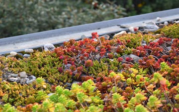 the cost of Balmacneil green roof installation