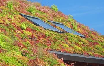 Balmacneil living roof systems
