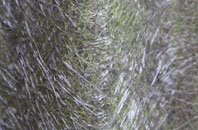 Balmacneil fibreglass roof work